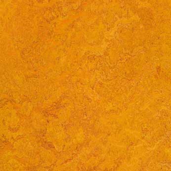 Muster Marmoleum dual marigold t3226