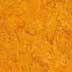 Muster von Linoleum Forbo marmoleum dual marigold t3226