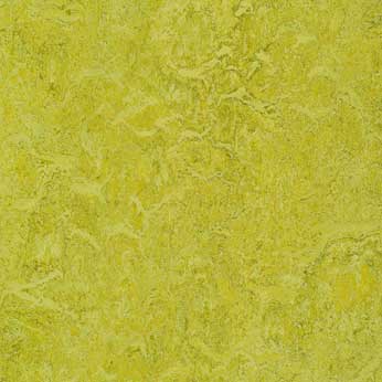Muster Marmoleum real 3224 charteuse